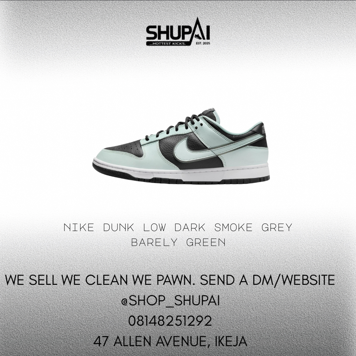 Nike Dunk Low Dark Smoke Grey Barely Green