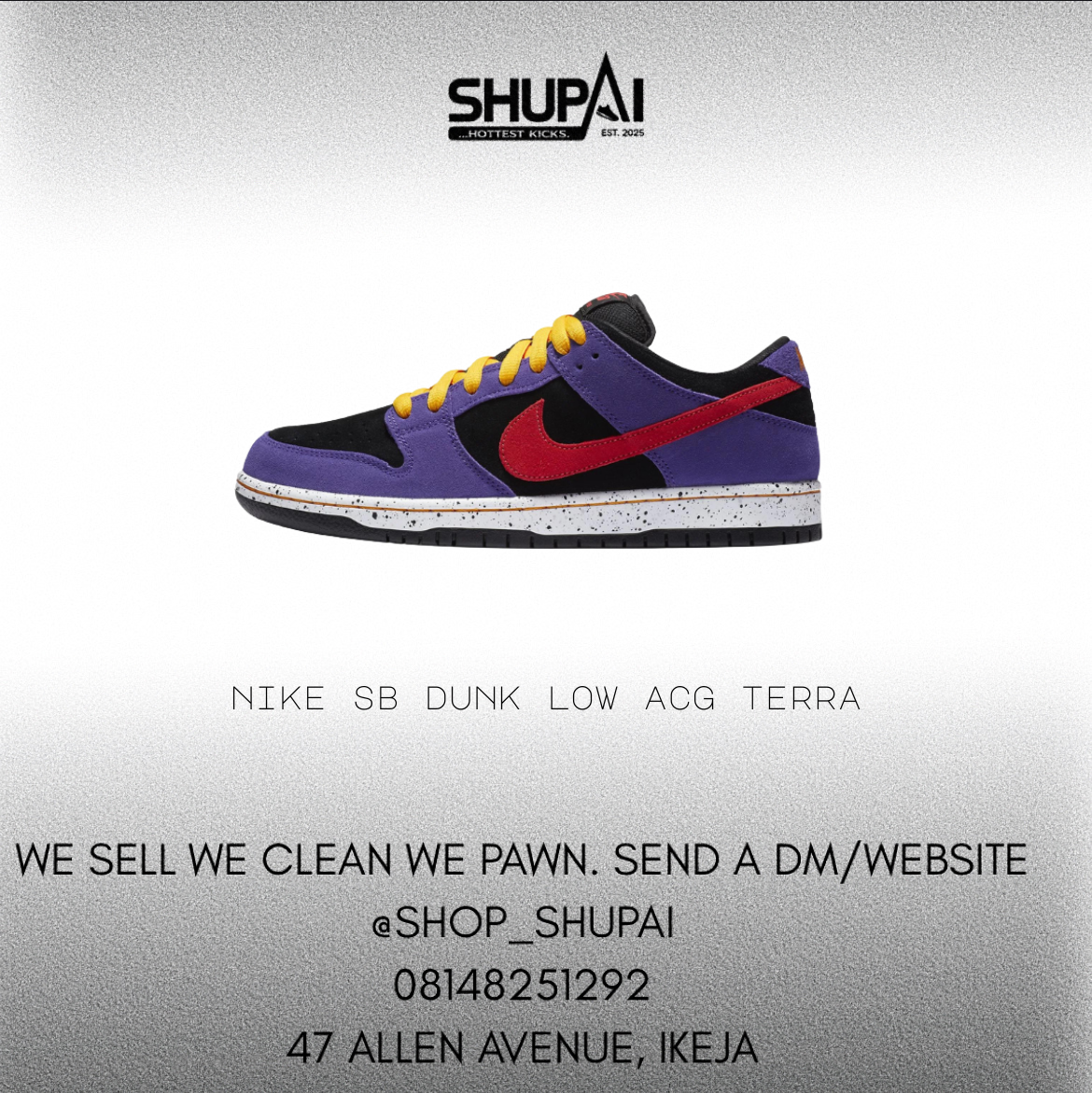 Nike SB Dunk Low ACG Terra